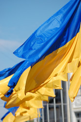 Similar image 256872