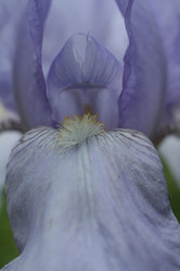 Similar image 256874