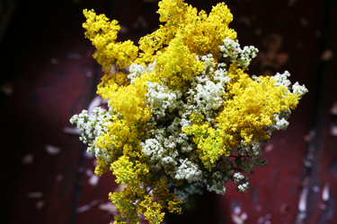 Similar image 256875