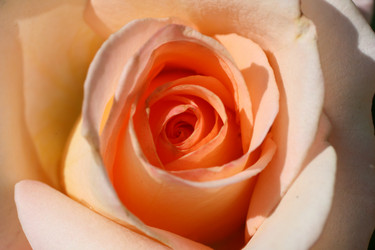 Similar image 256877