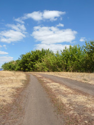 Similar image 256879