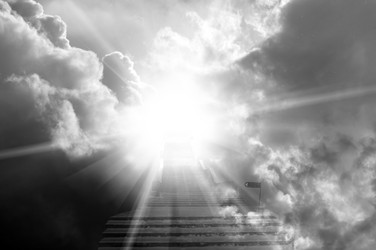 Similar image 256885