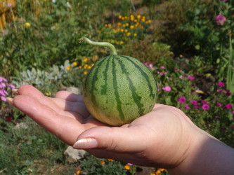 Similar image 256906