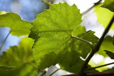 Similar image 256936