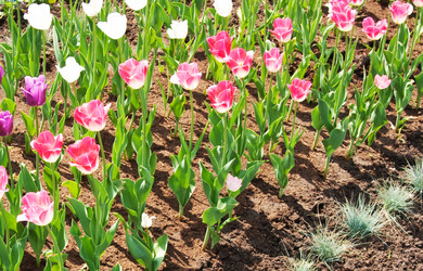 Similar image 256941