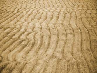 Similar image 256959