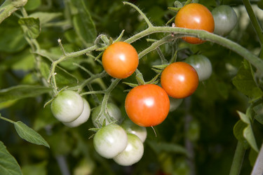 Similar image 256961