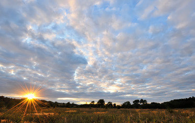 Similar image 256981