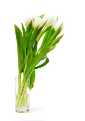 Similar image 257046