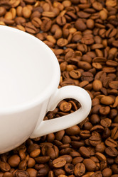 Similar image 257082