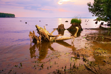 Similar image 257088