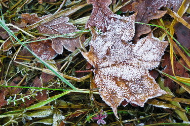 Similar image 257090