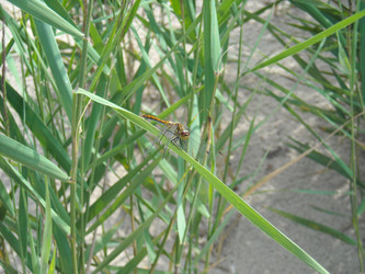 Similar image 257098