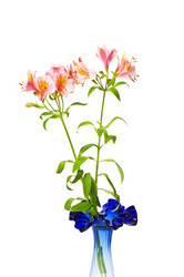 Similar image 257100