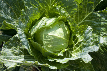 Similar image 257111