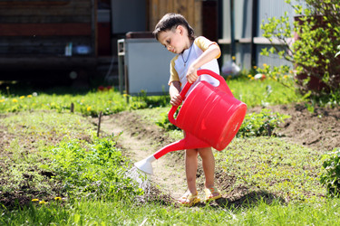 Similar image 257125