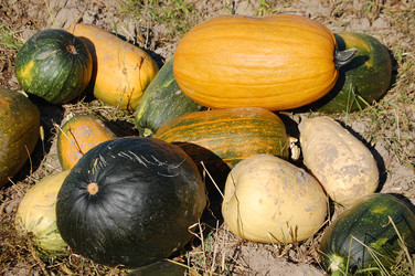 Similar image 257134