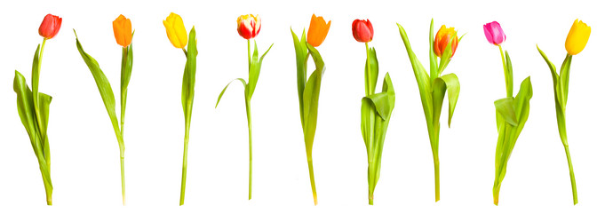 Similar image 257181