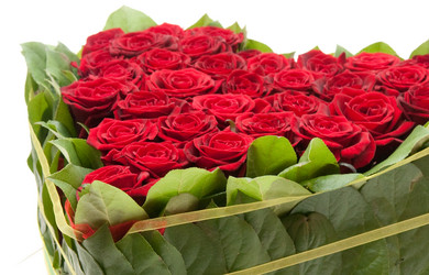 Similar image 257216