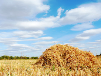 Similar image 257287