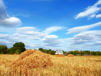 Similar image 257288