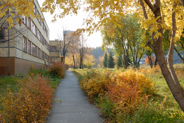 Similar image 257327