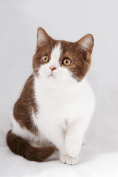 Similar image 257345