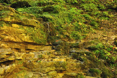 Similar image 257348