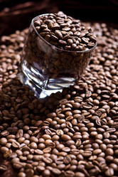 Similar image 257363