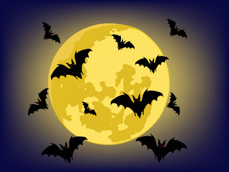 Similar image 257365