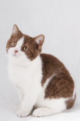 Similar image 257373