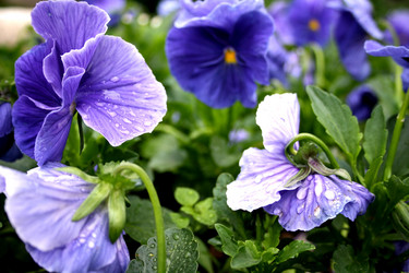 Similar image 257374