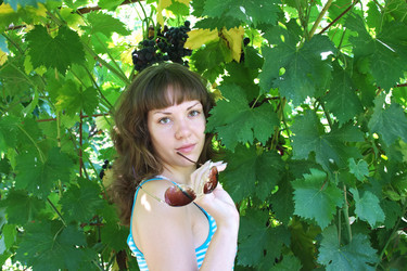 Similar image 257397