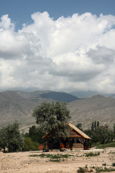 Similar image 257407