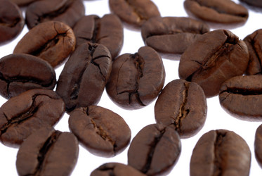 Similar image 257440