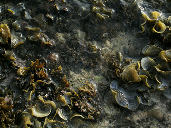 Similar image 257451