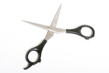 Similar image 257462