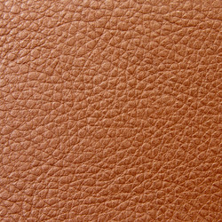 Similar image 257470