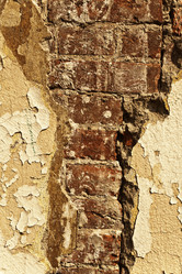 Similar image 257498