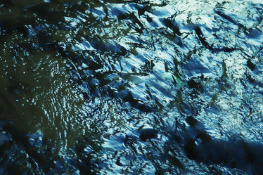 Similar image 257499