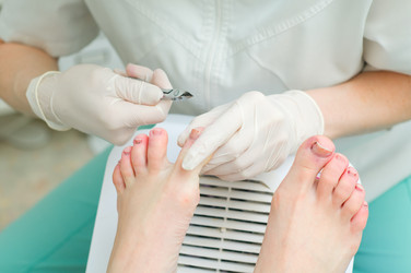 Similar image 257512