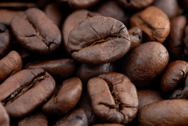 Similar image 257526