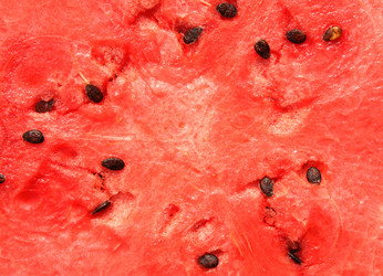 Similar image 257540