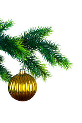 Similar image 257554