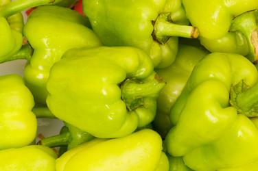 Similar image 257565