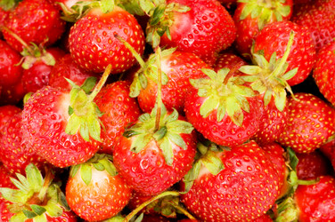 Similar image 257752