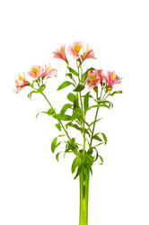 Similar image 257773