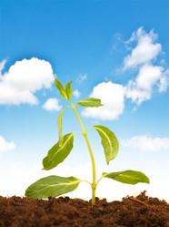 Similar image 257786