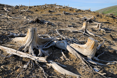 Similar image 257794