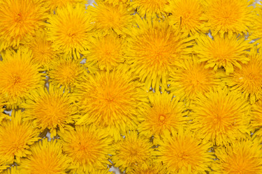 Similar image 257844